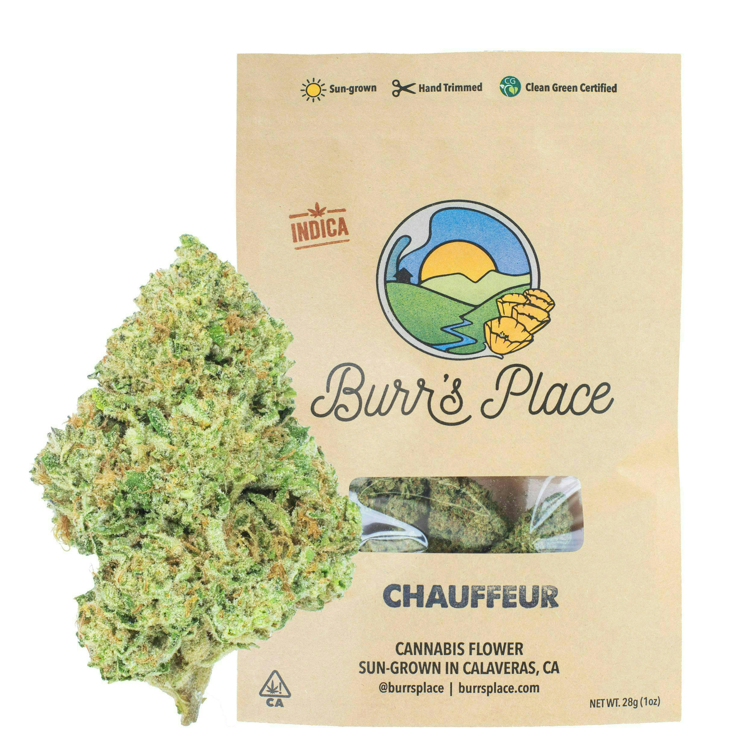 Chauffeur | Big Buds | 28g by Burr's Place