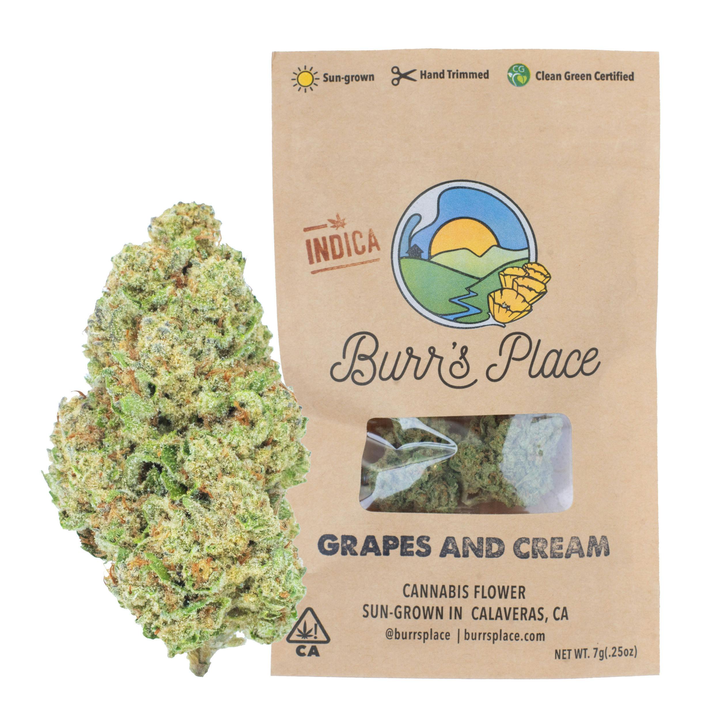 Burr's Place — Grapes and Cream
