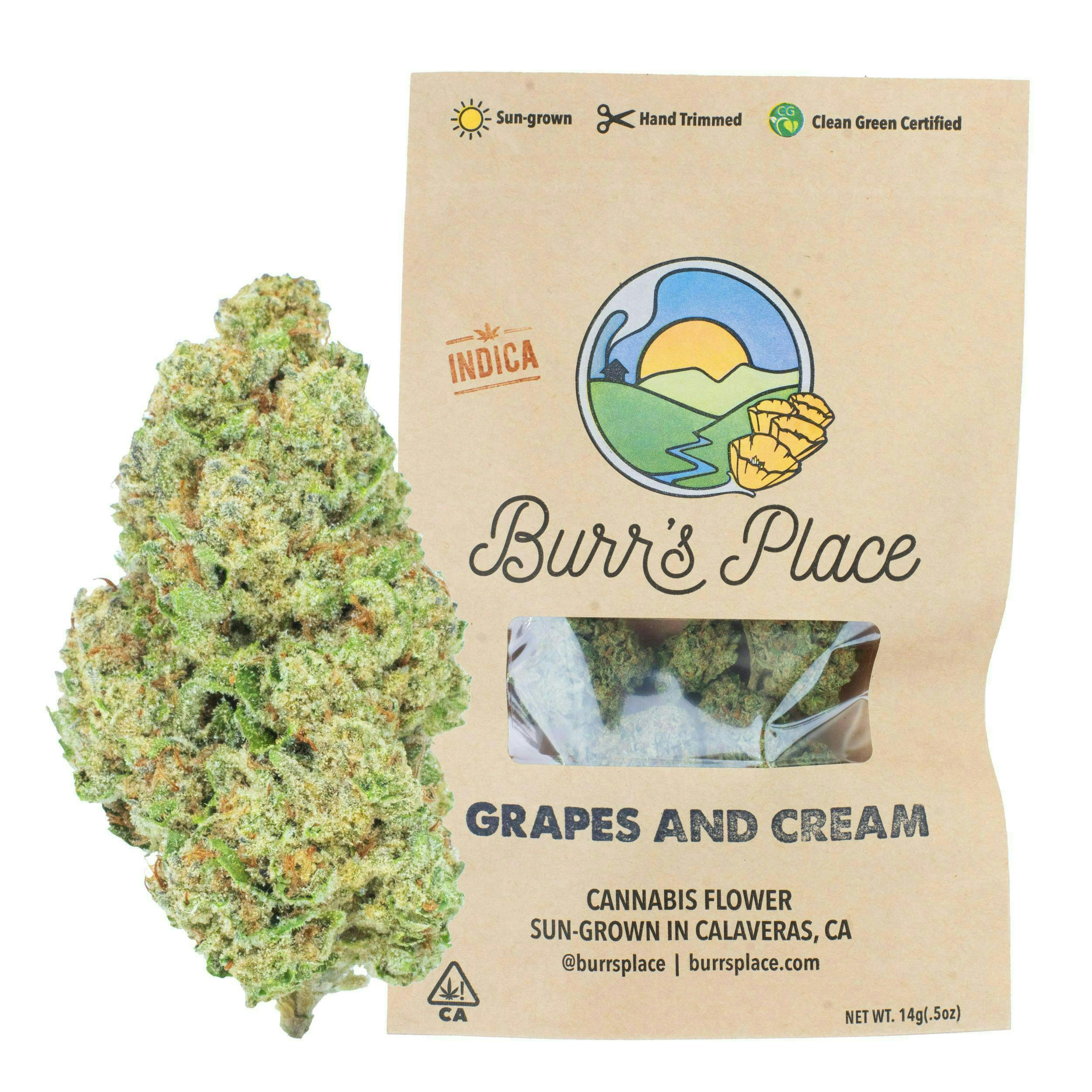 Burr's Place — Grapes And Cream