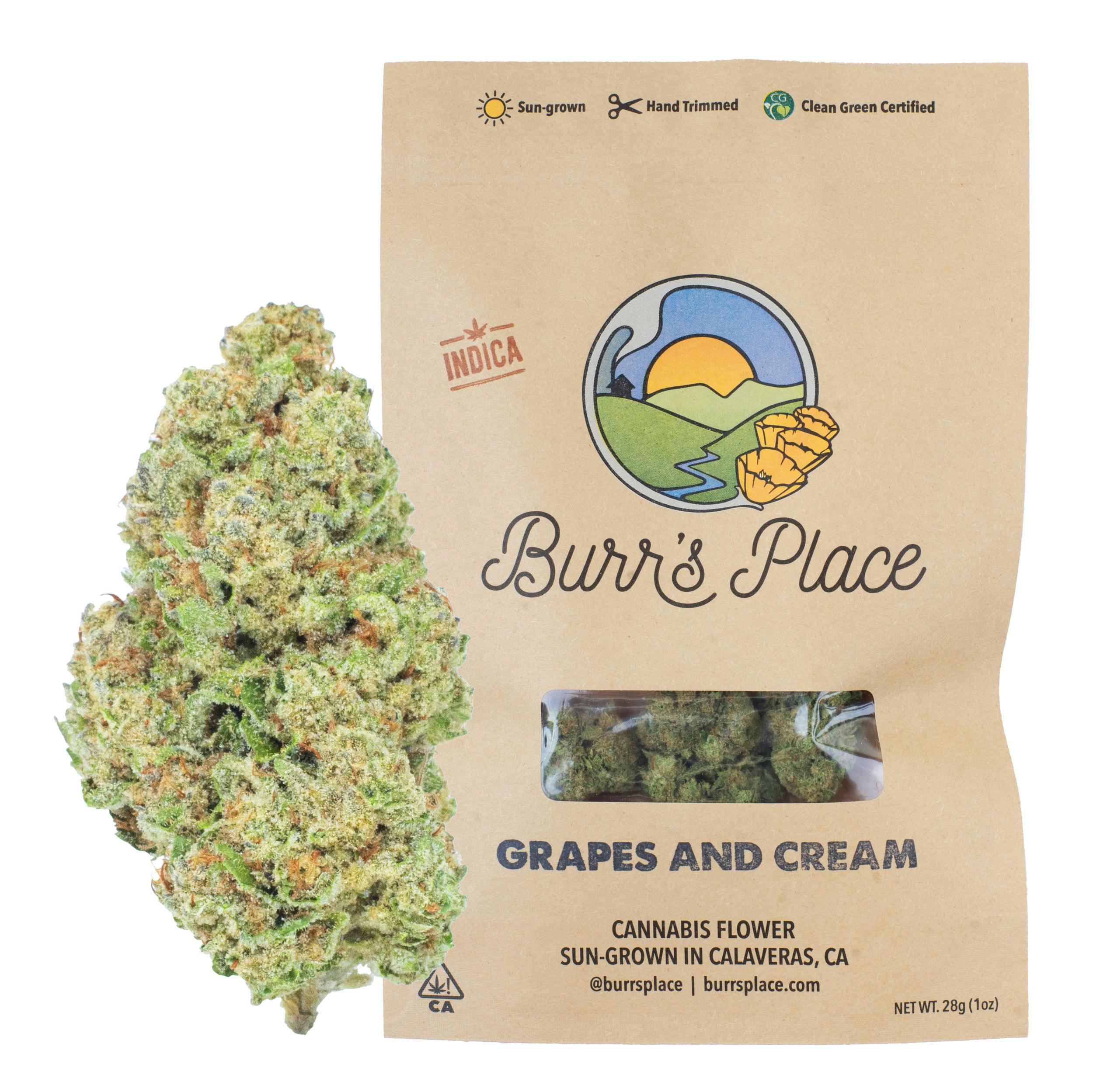 Burr's Place — Grapes and Cream