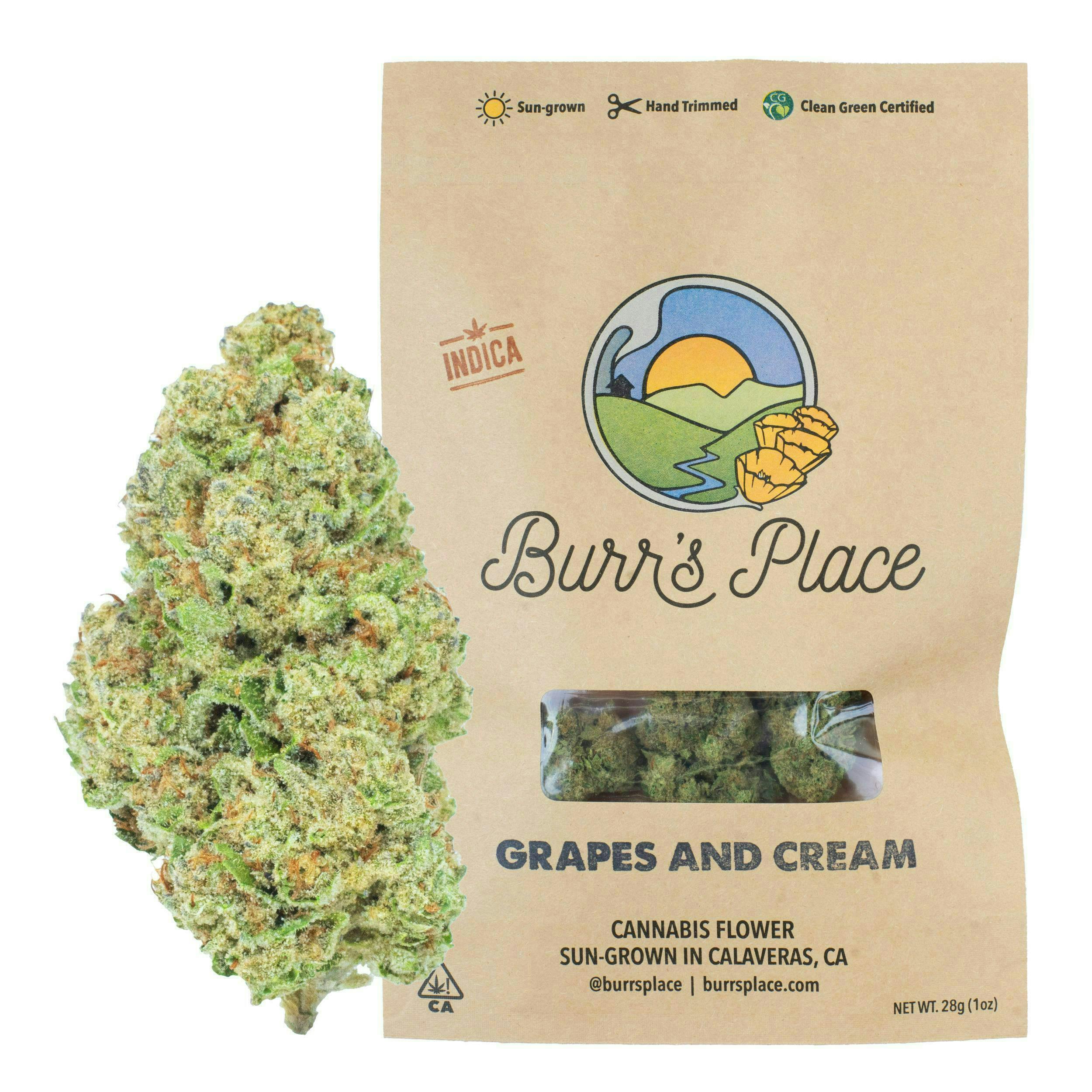 Burr's Place: Grapes And Cream