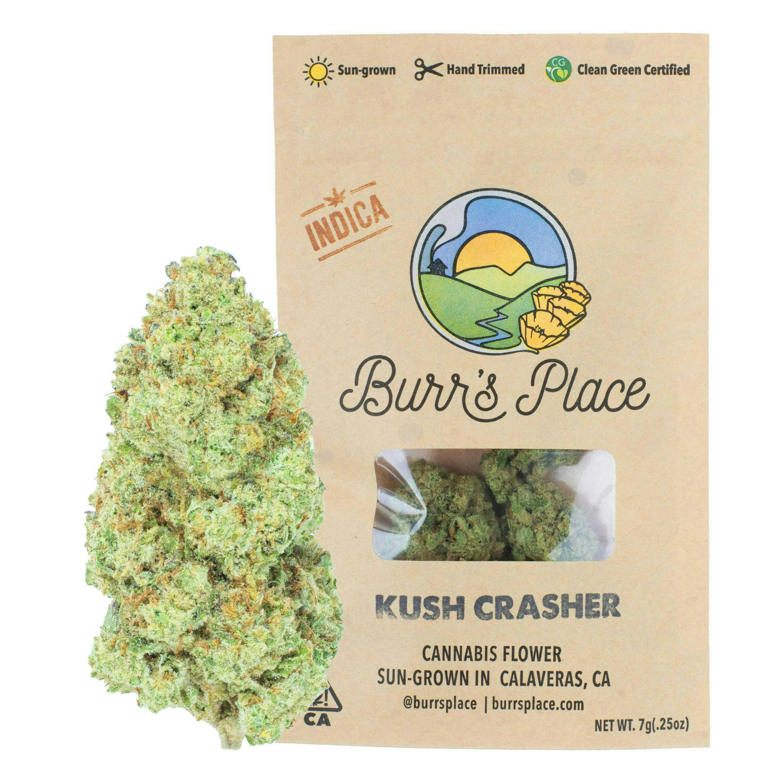 Kush Crasher | Big Buds | 7g by Burr's Place