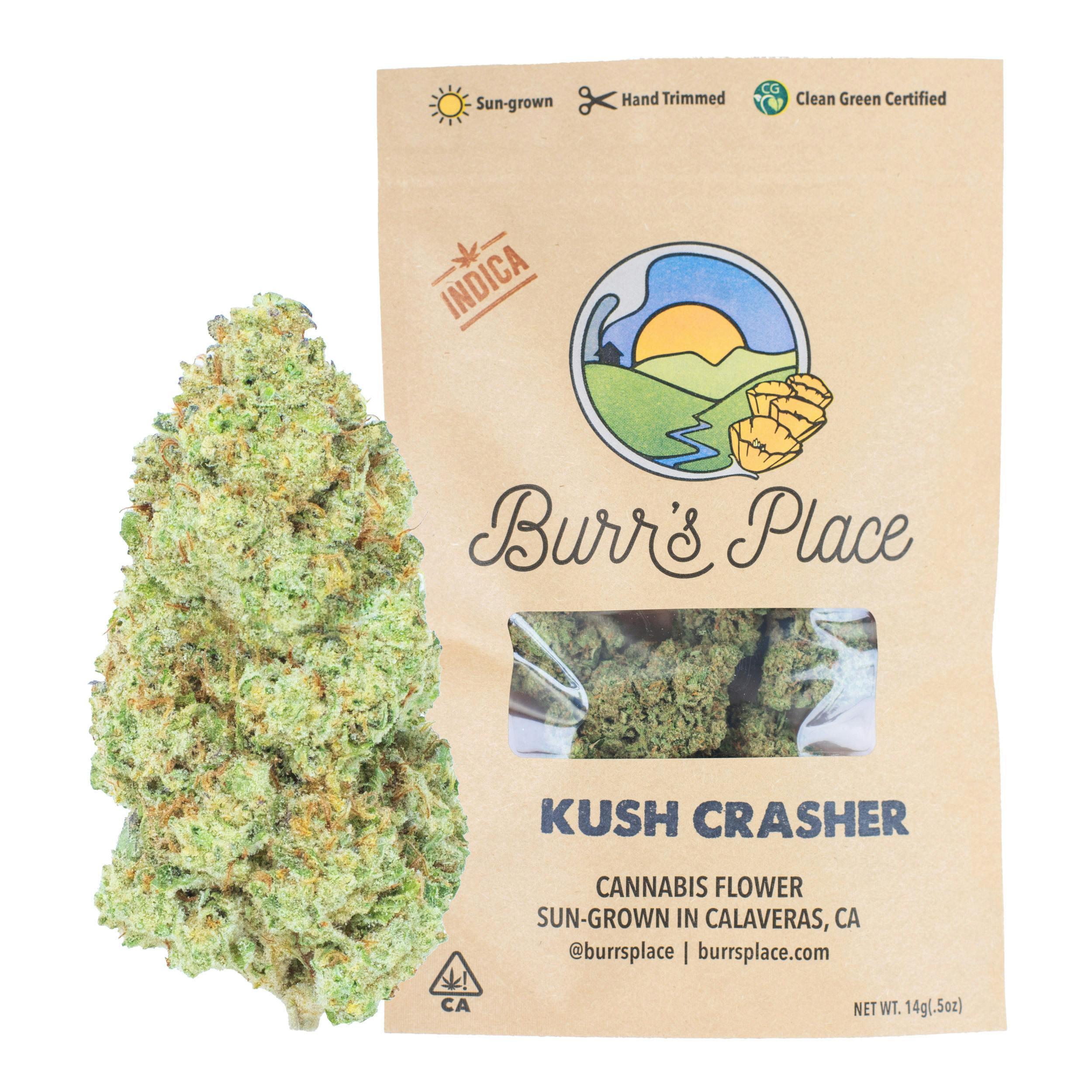 Burr's Place — Kush Crasher