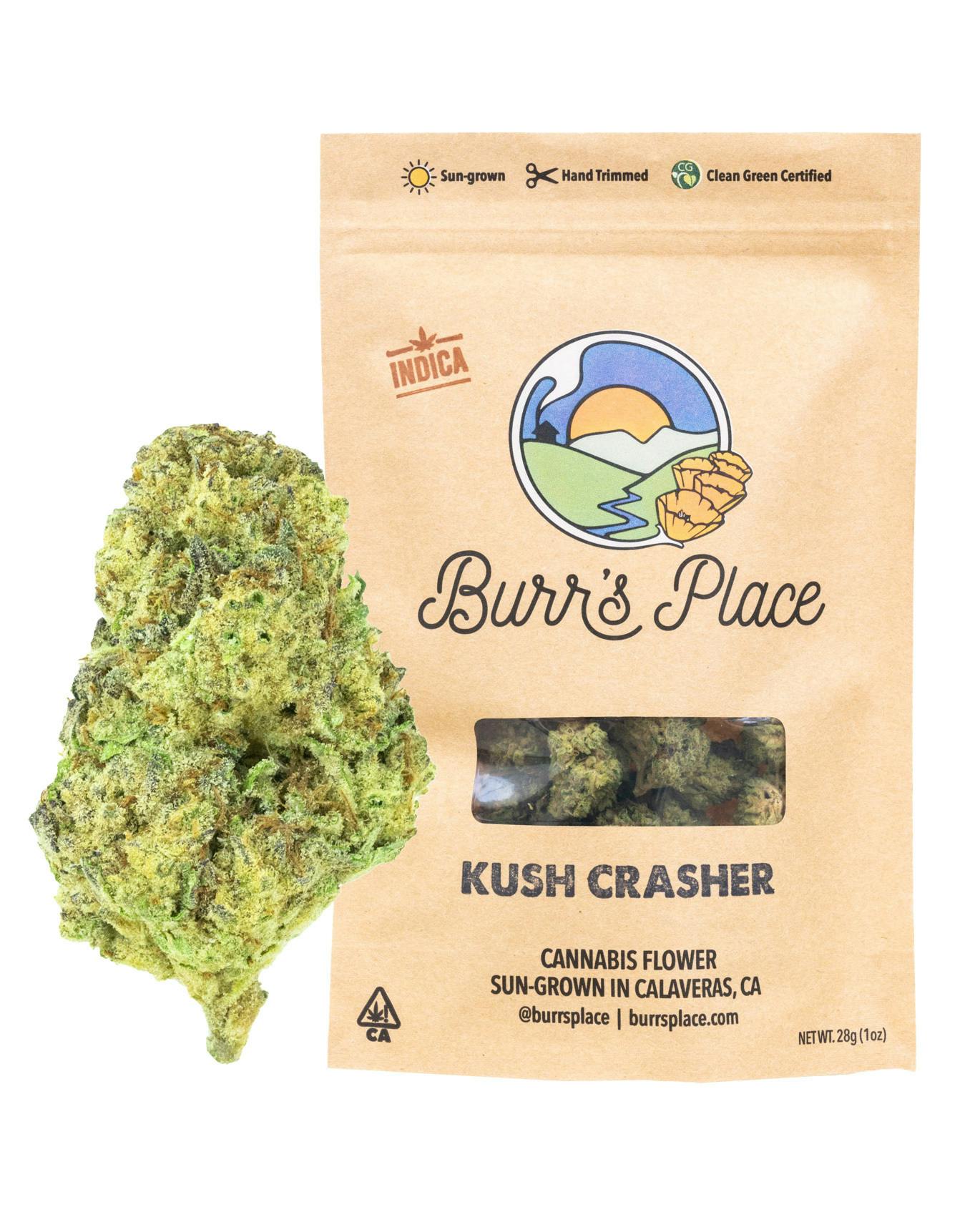 Burr's Place — Kush Crasher