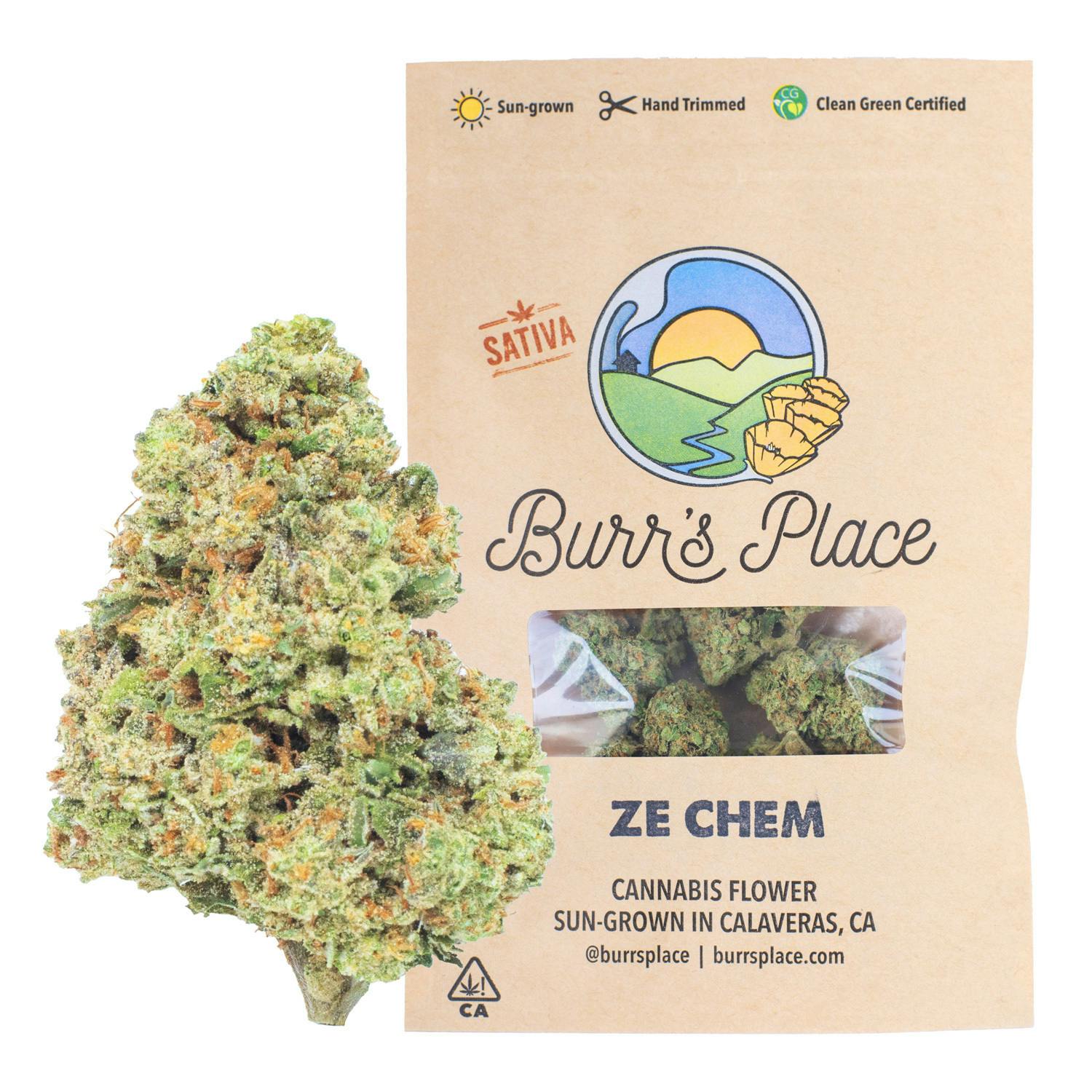 Burr's Place: Ze Chem