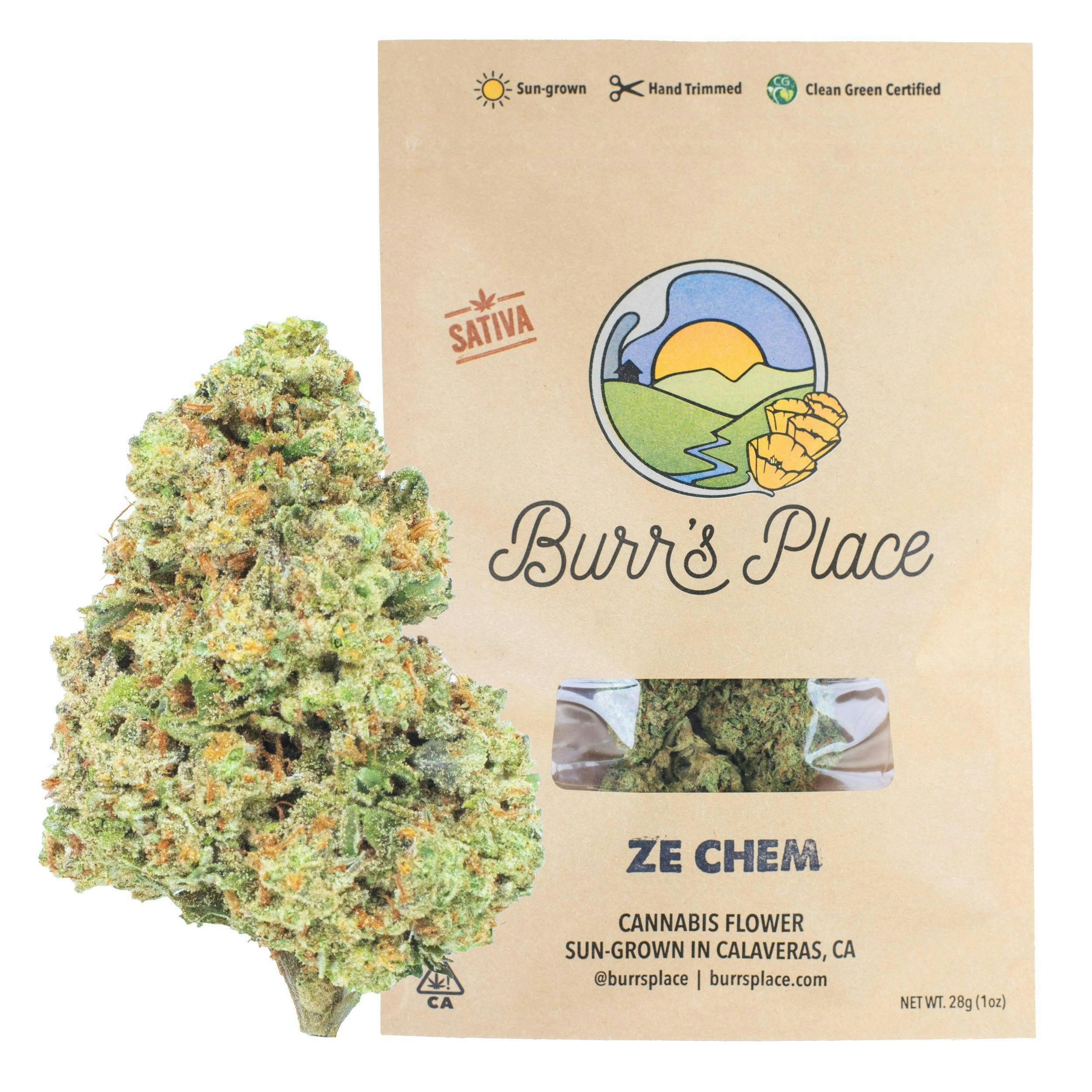 Burr's Place: Ze Chem