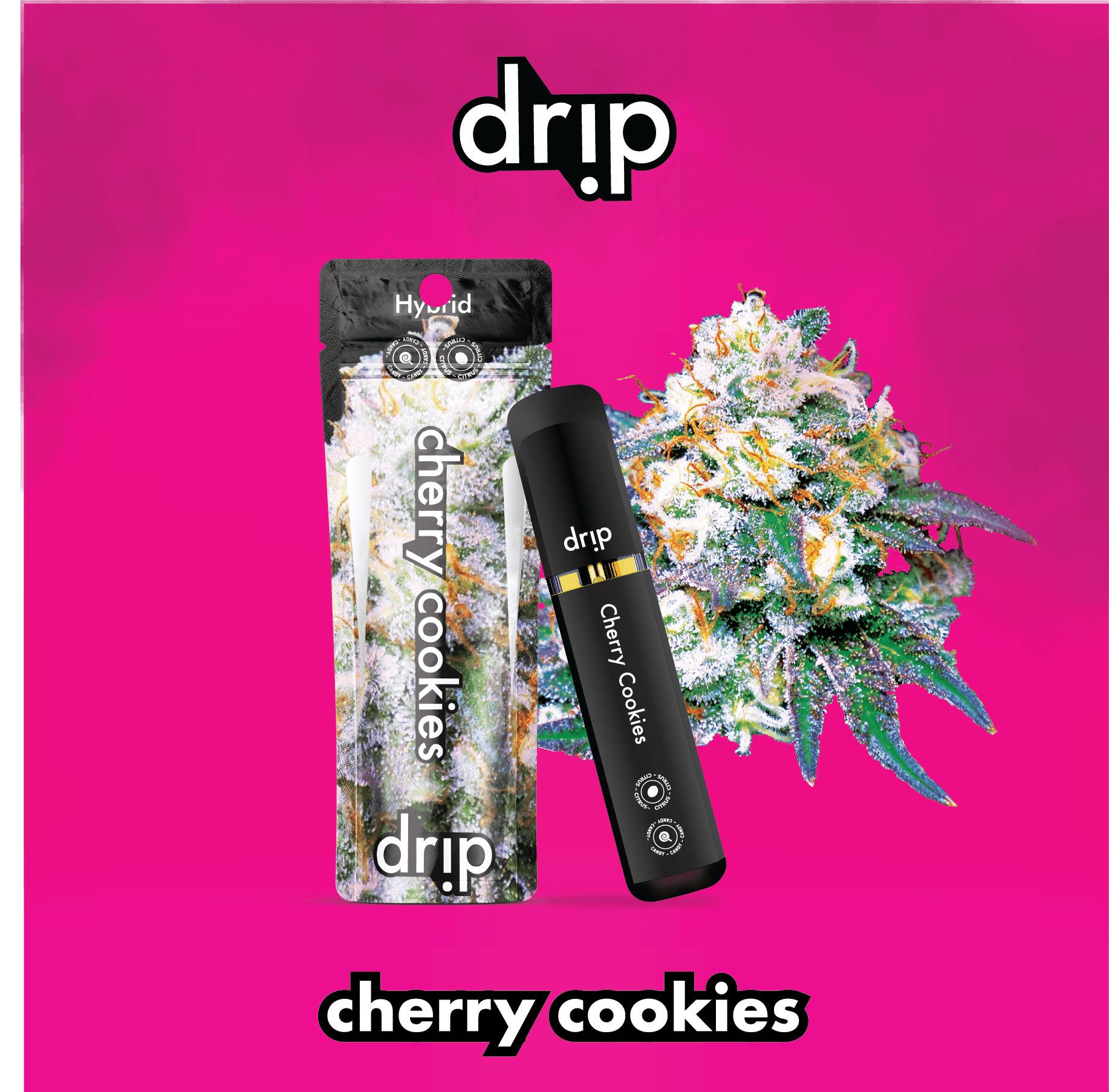 drip x トバログ PACK ver.2 2階建てだから取り出しやすい、しまいやすい「FLOORPACK ver.2