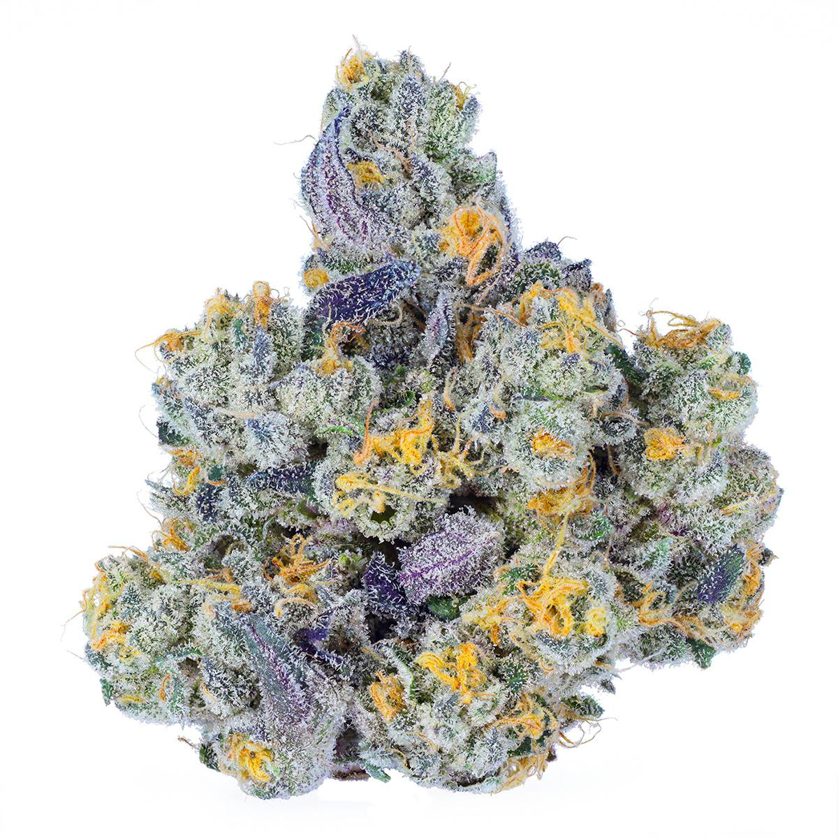 Jelly Zappers | Buds