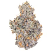 FIG FARMS - Rock Tarts 1g Preroll
