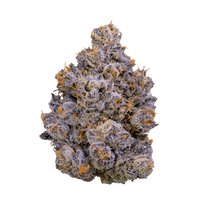 FIG FARMS - Fig Farms - Chikitaz - 3.5g Flower