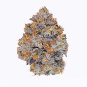 Blue Slush | 3.5g | Fig Farms