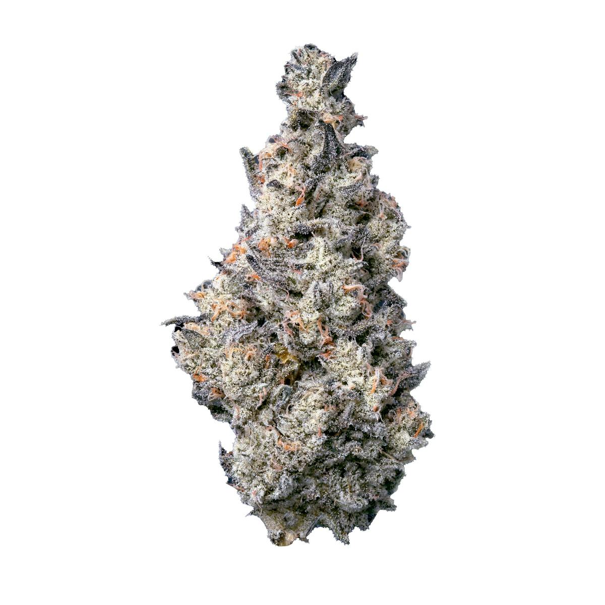 Donut Shop | Buds