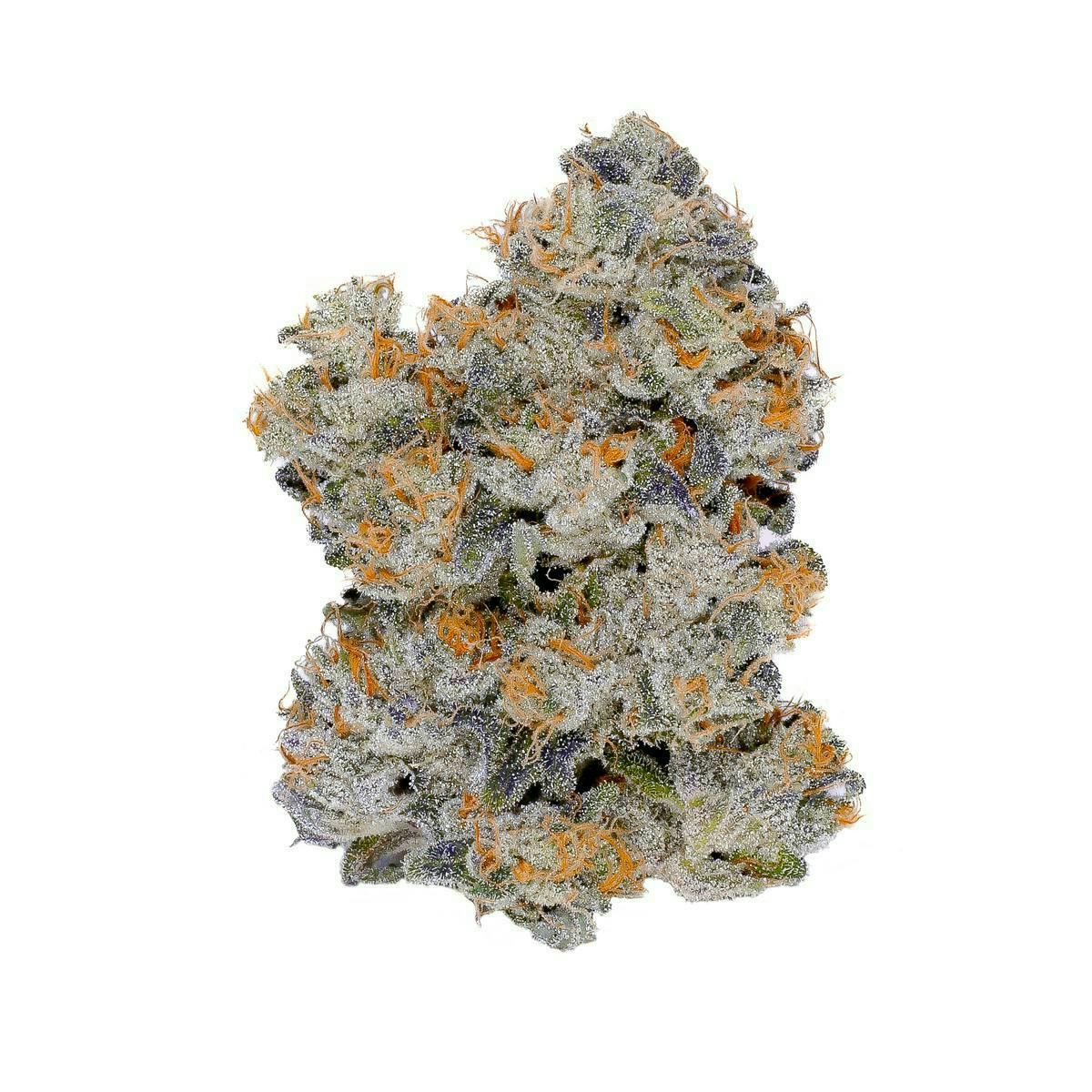 Fig Farms: Gm-og