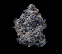 Fig Farms - Lemon Cherry Gelato - Flower - 3.5g