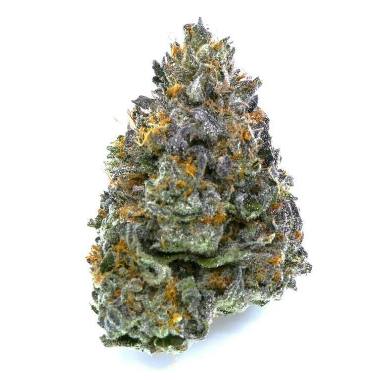 Komodo Buds by Avitas