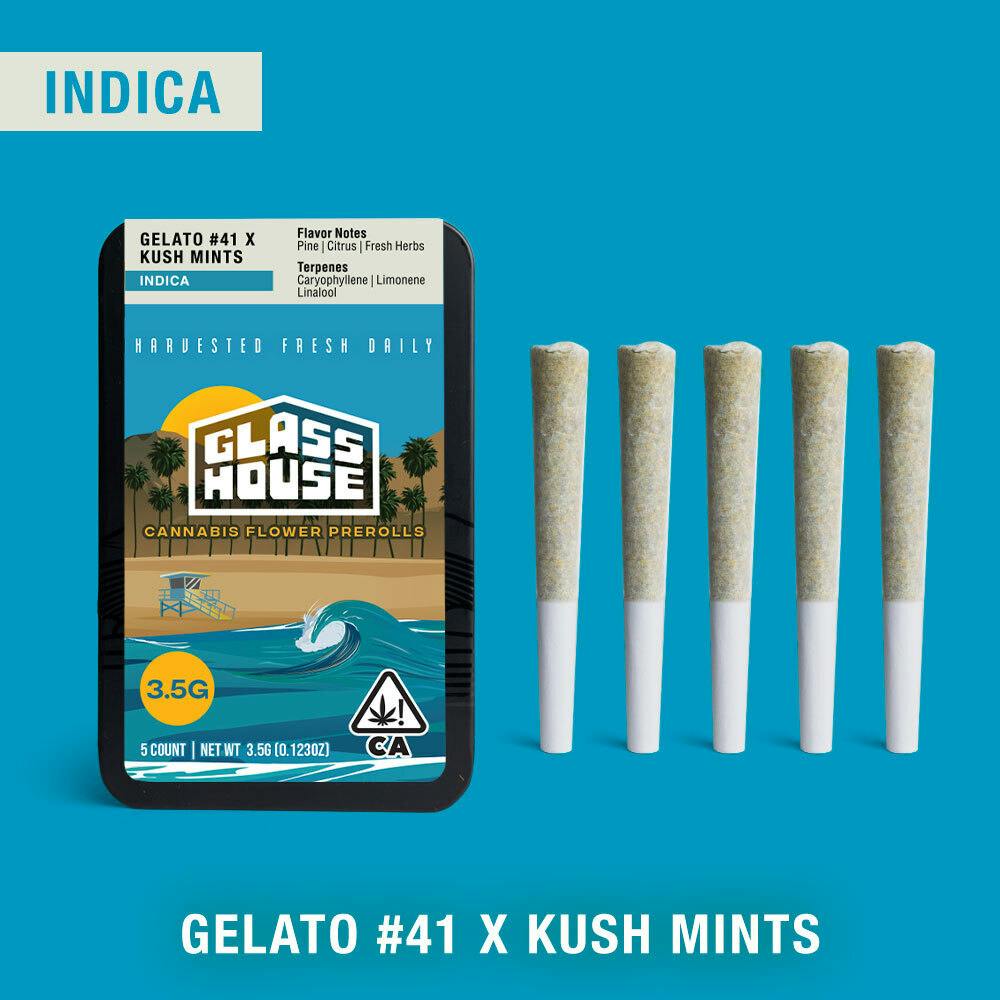 Gelato #41 x Kush Mints [.7g 5pk]