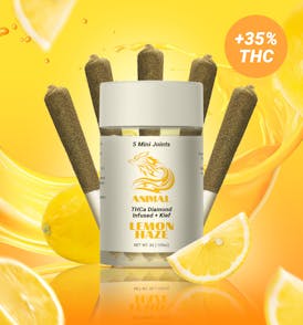 5pk(3G) Lemon Haze / THCa Diamond infused Joint
