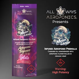 Moon Lander Infused Pre-Roll - Gelato 1g