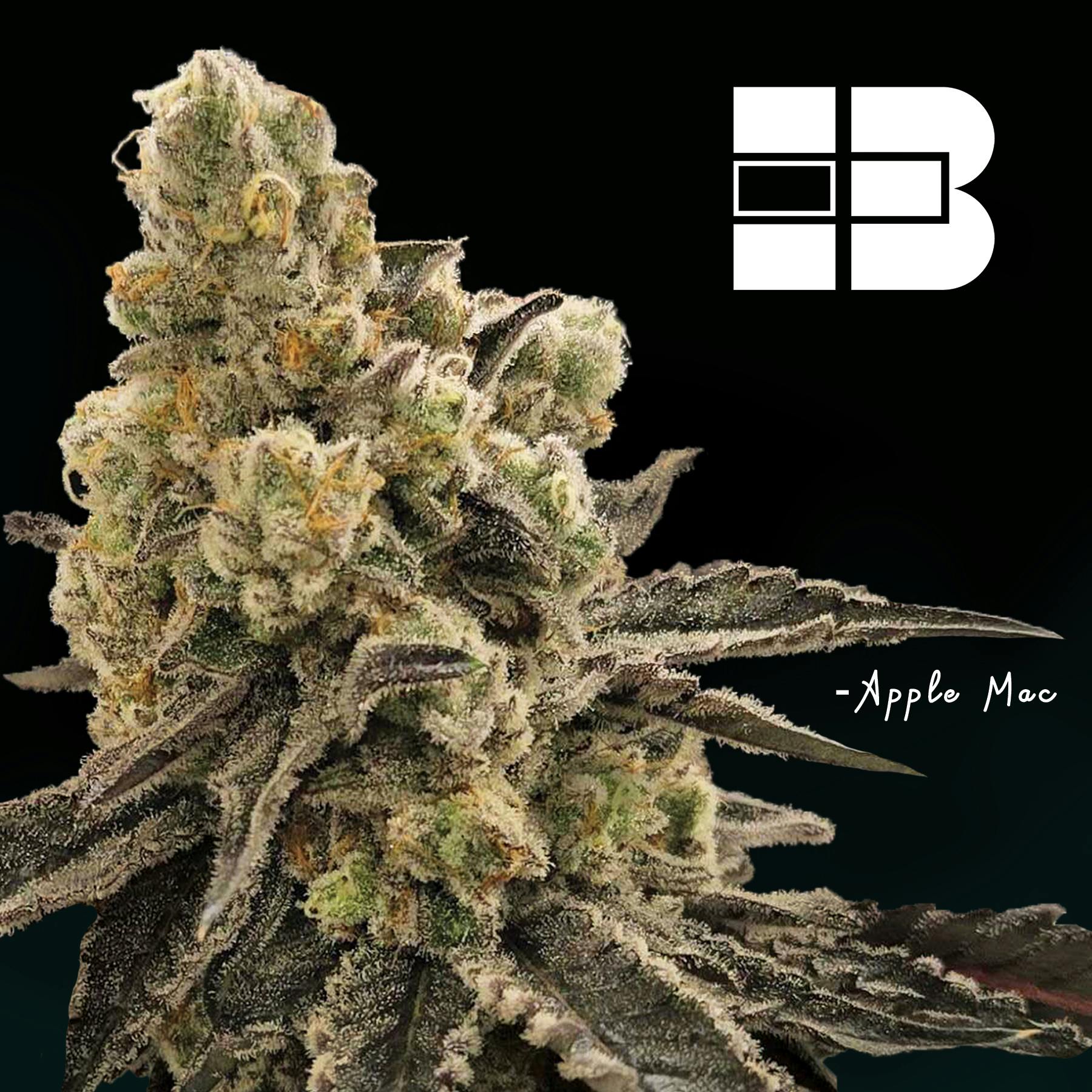 BRIXX - Apple Mac - 3.5g