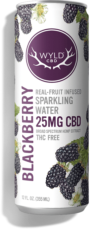 WYLD | Blackberry CBD Sparkling Water | Carbonated | 25mg | 12 fl oz at Botanica