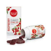 wyld -Raspberry THC Gummies | 10-Pack