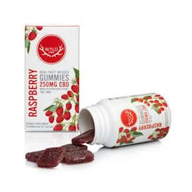 Raspberry CBD Gummies | 10-Pack | 250mg