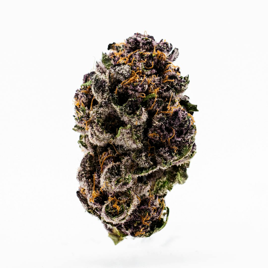 TROPICANA COOKIES by Dank By Definition