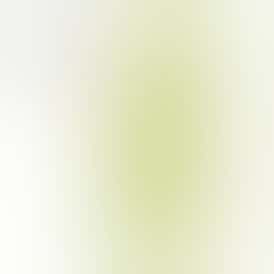 Tropical Kiwi 2G All in One Device