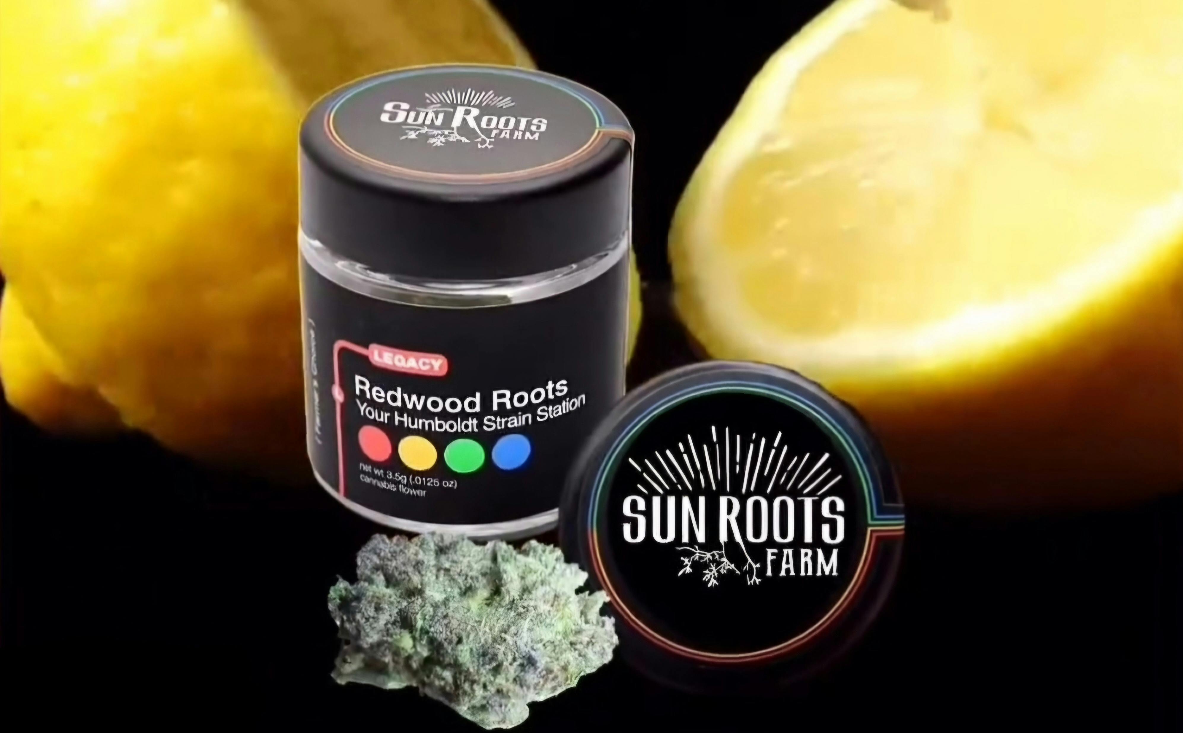 Velvet Gelpaya - Sun Roots Farm