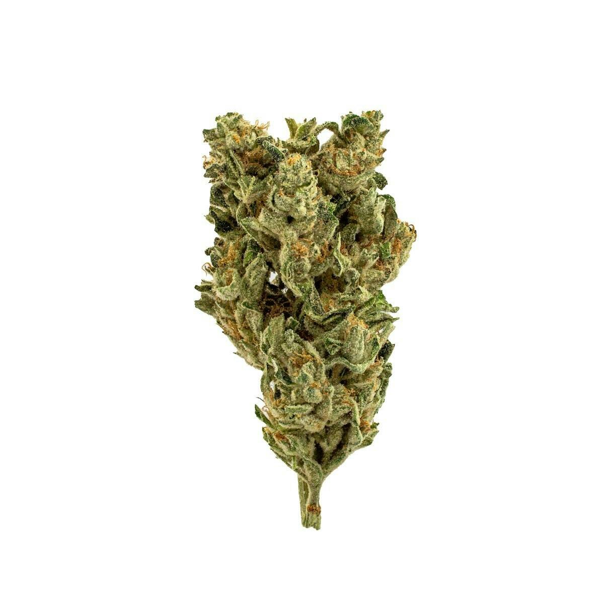 Mellow Fellow Flower by Grassroots