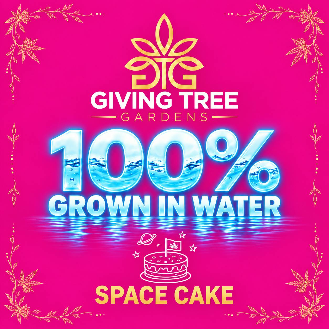 Space Cake – Deli Flower | 100% WATER GROWN • TRUE HYDRO by Giving Tree Gardens