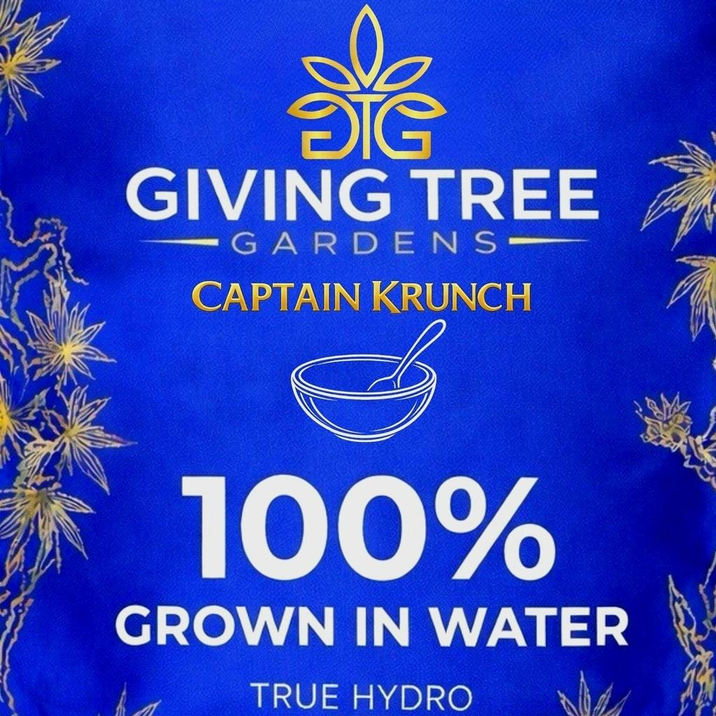 Captain Krunch – Deli Flower | 100% WATER GROWN • TRUE HYDRO by Giving Tree Gardens
