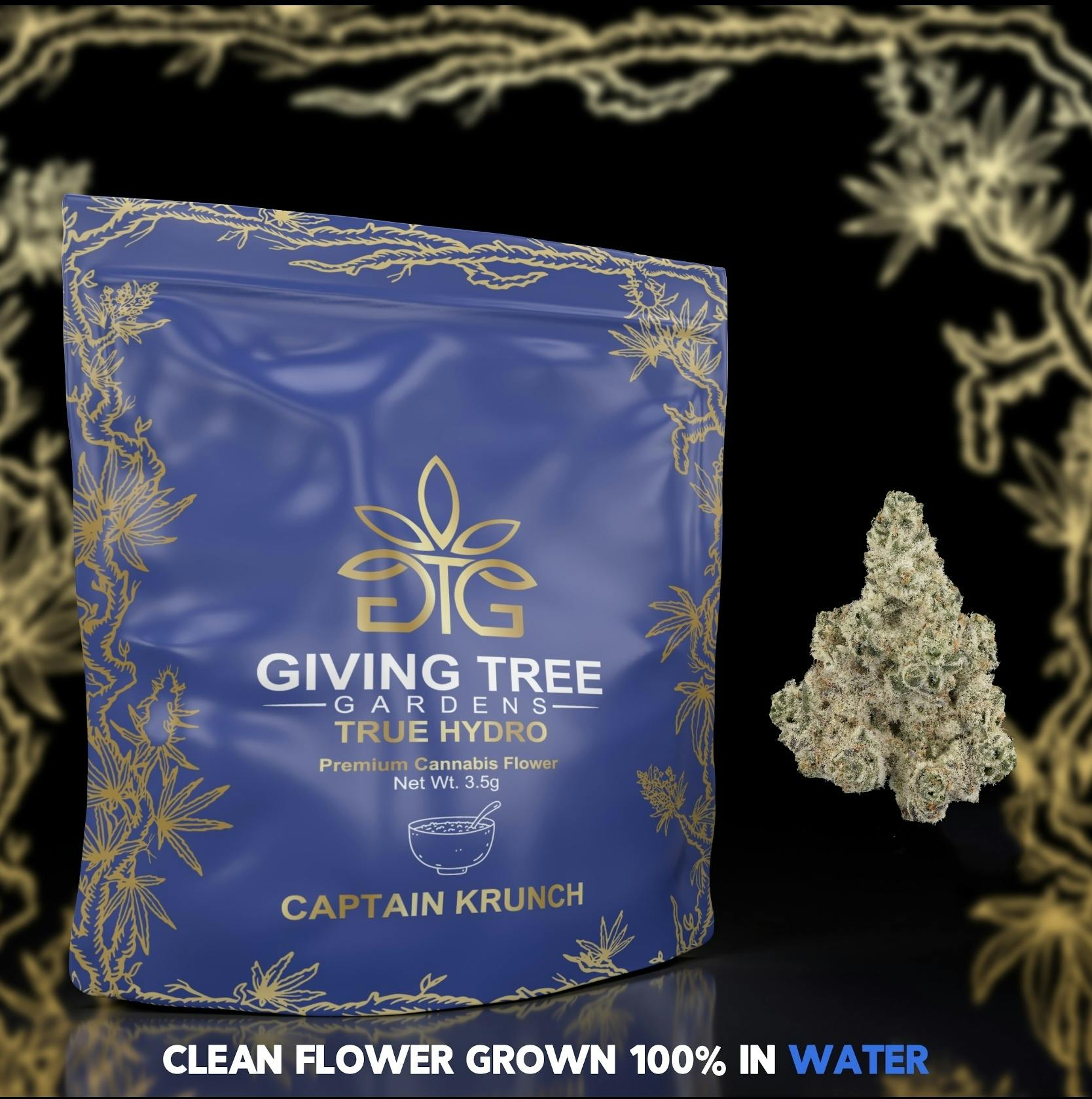 CAPTAIN KRUNCH FLOWER . Giving Tree Gardens