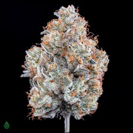 GDL Black Label Flower (7g) | Rėd Frōōt