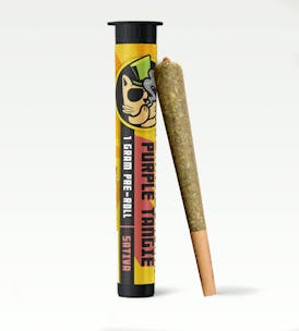 El Gato 1g Preroll- Purple Tangie