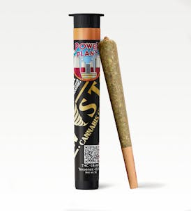 Twisted Preroll 1g - Power Plant