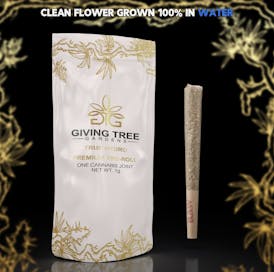 POWDERED DOUGHNUT 1G PRE ROLL
