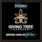 Giving Tree Gardens | Orange Tree | Preroll | 1g