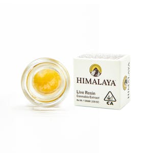 HIMALAYA - HIMALAYA | CHEM DAWG LIVE RESIN | EXTRACT | 1G