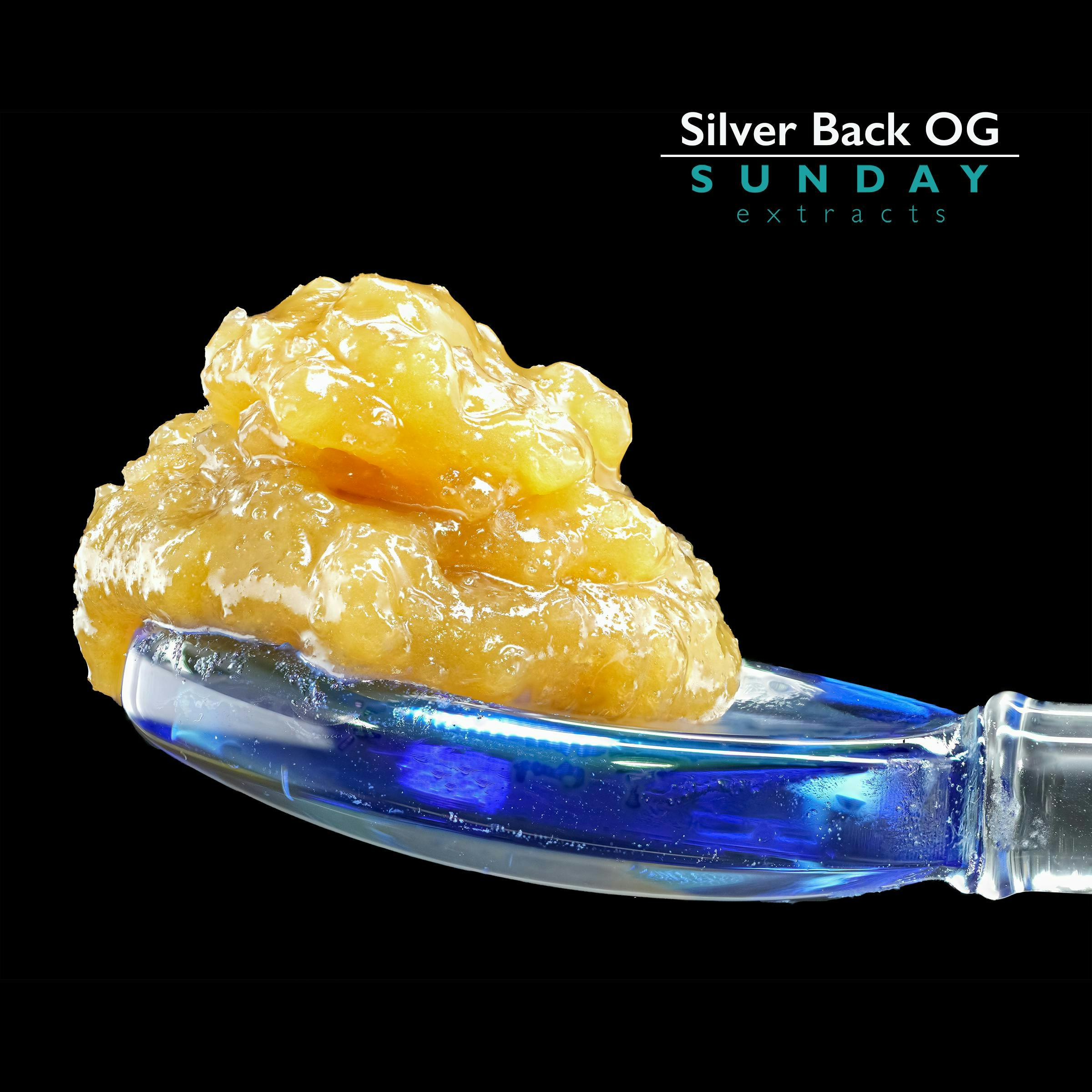 1g Concentrate Silver Back OG by Sunday Extracts