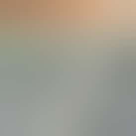 Rugged Roots | Cranebow City Pre Roll 1g