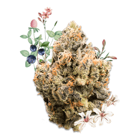 Bubble Gum Runtz 3.5G