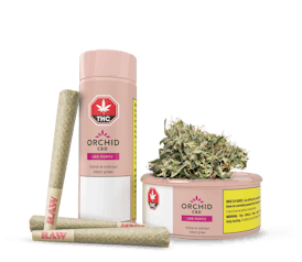 ORCHID CBD RUNTZ Pre-rolls – 5 x 0.6g