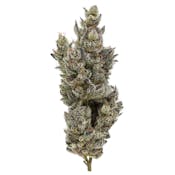 FIG FARMS | HOLY MOLY! | FLOWER | 3.5G