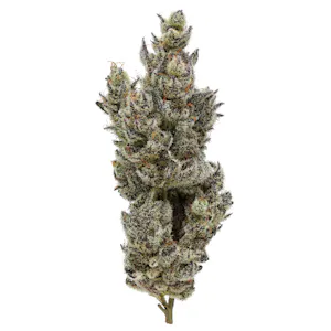 FIG FARMS - FIG FARMS | HOLY MOLY! | FLOWER | 3.5G