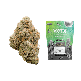 Lemon Cherry Gelato 14G