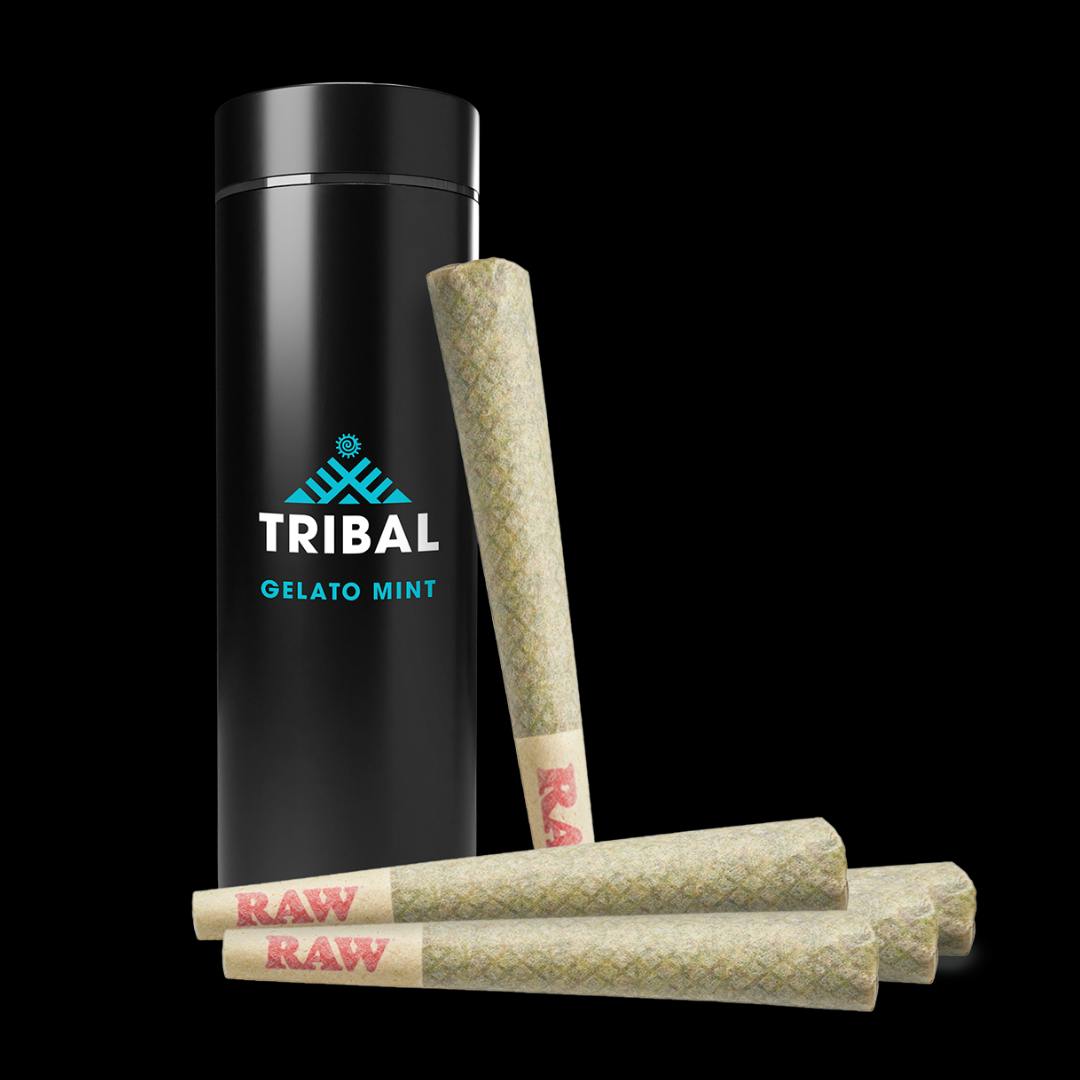 Gelato Mint Pre-Rolls (5x0.6G)