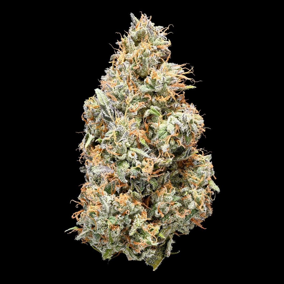 Cuban Linx 28G