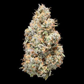 Cuban Linx 28G