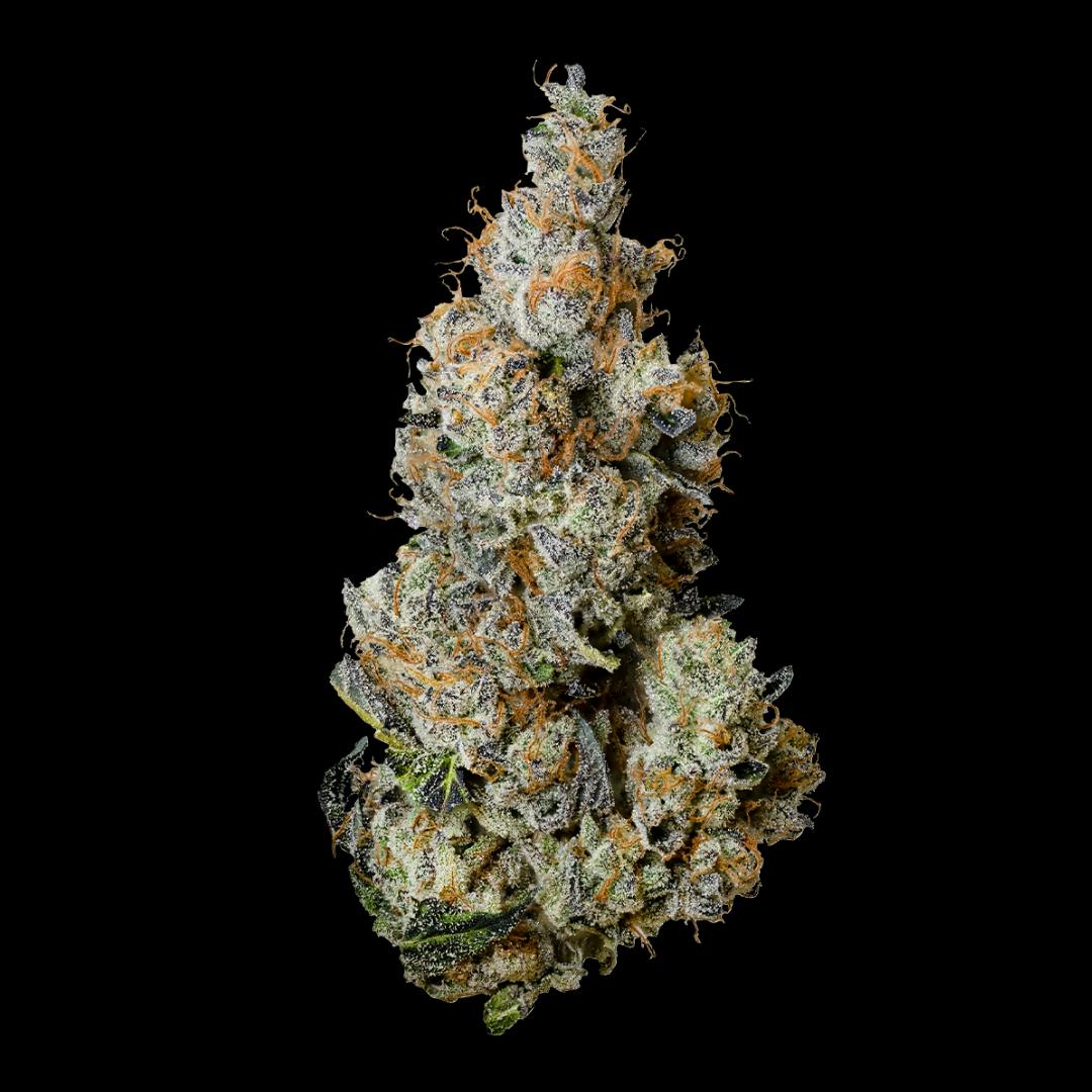 Triple Burger 3.5G